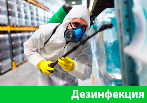 Дезинфекция в городе Барнаул