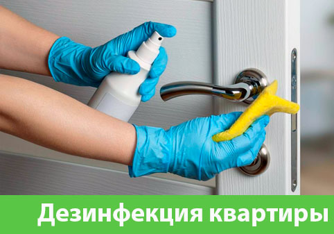 Дезинфекция квартиры в городе Барнаул