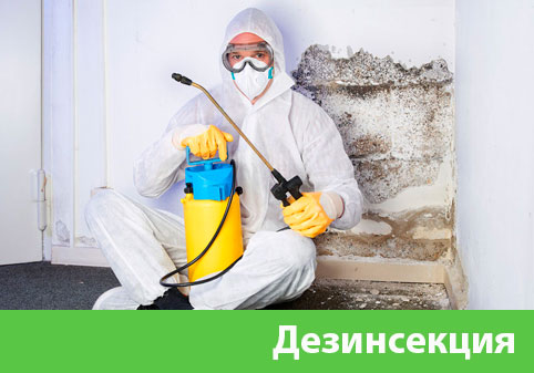 Дезинсекция в городе Барнаул