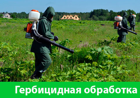 Гербицидная обработка в городе Барнаул