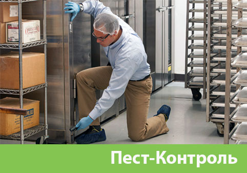 Пэст-Контроль в городе Барнаул