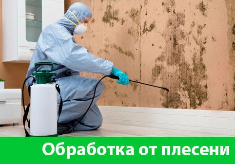 Обработка от плесени в городе Барнаул
