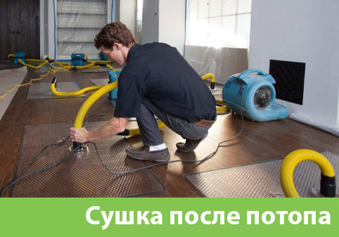 Сушка после потопа в городе Барнаул