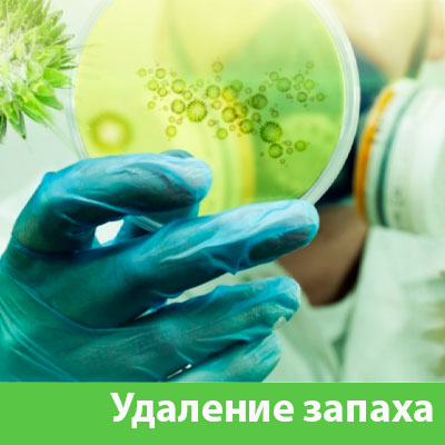 Удаление запахов в Барнауле