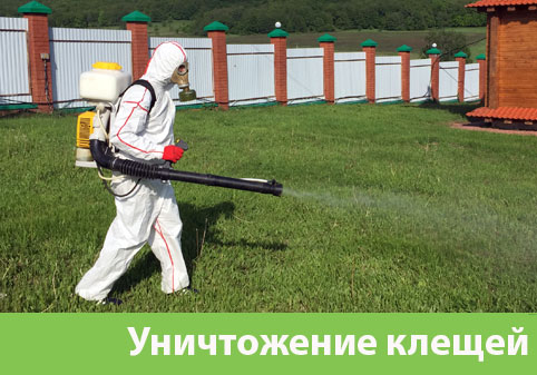 Уничтожение клещей в городе Барнаул