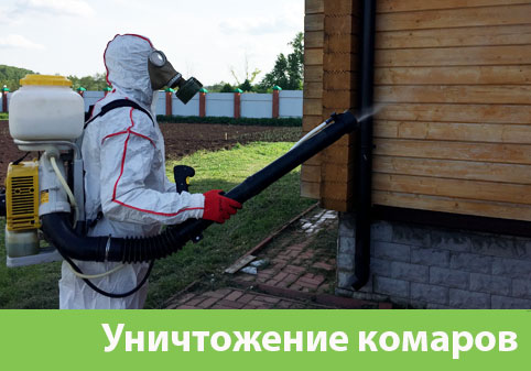 Уничтожение комаров в городе Барнаул