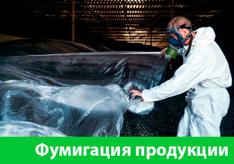 Фумигация продукции в городе Барнаул